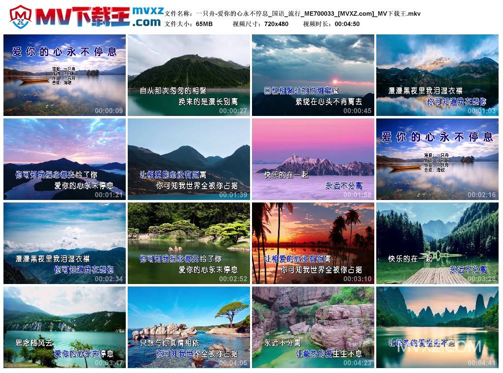 一只舟-爱你的心永不停息_国语_流行_ME700033